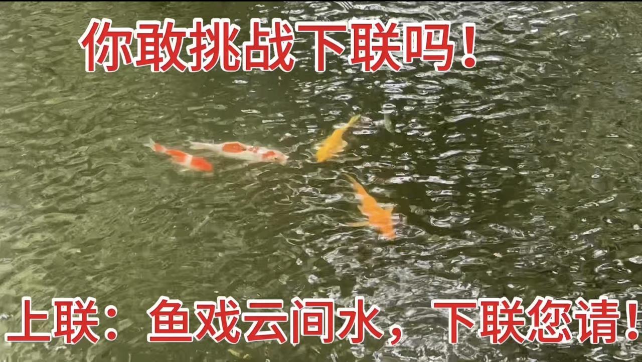 人间处处皆诗意！
上联：鱼戏云间水，下联您请！
对对联