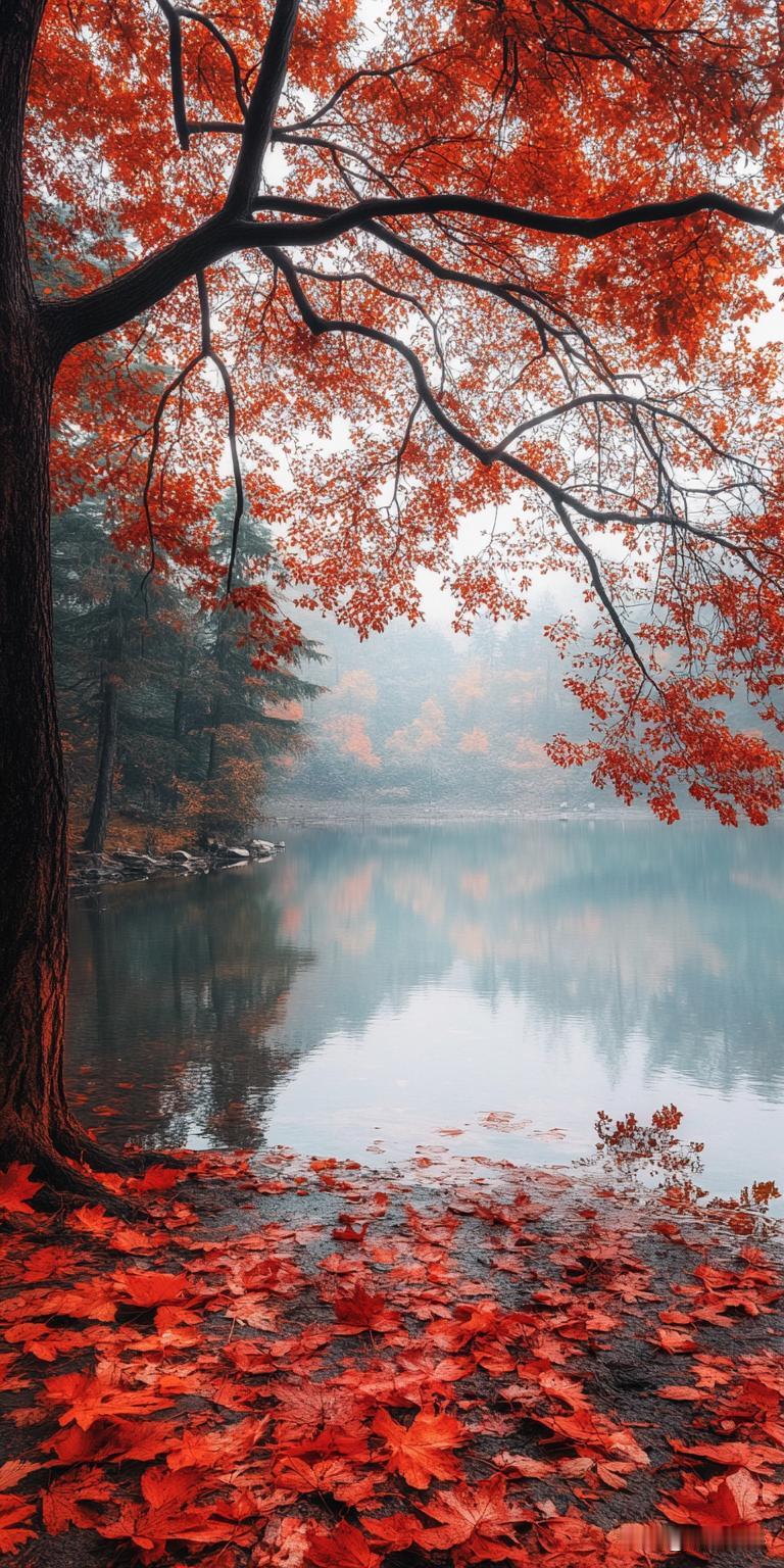 秋意正浓，湖边的树染上暖色调，叶子飘落在水面、岸边，像给大地铺了金红地毯，美到心