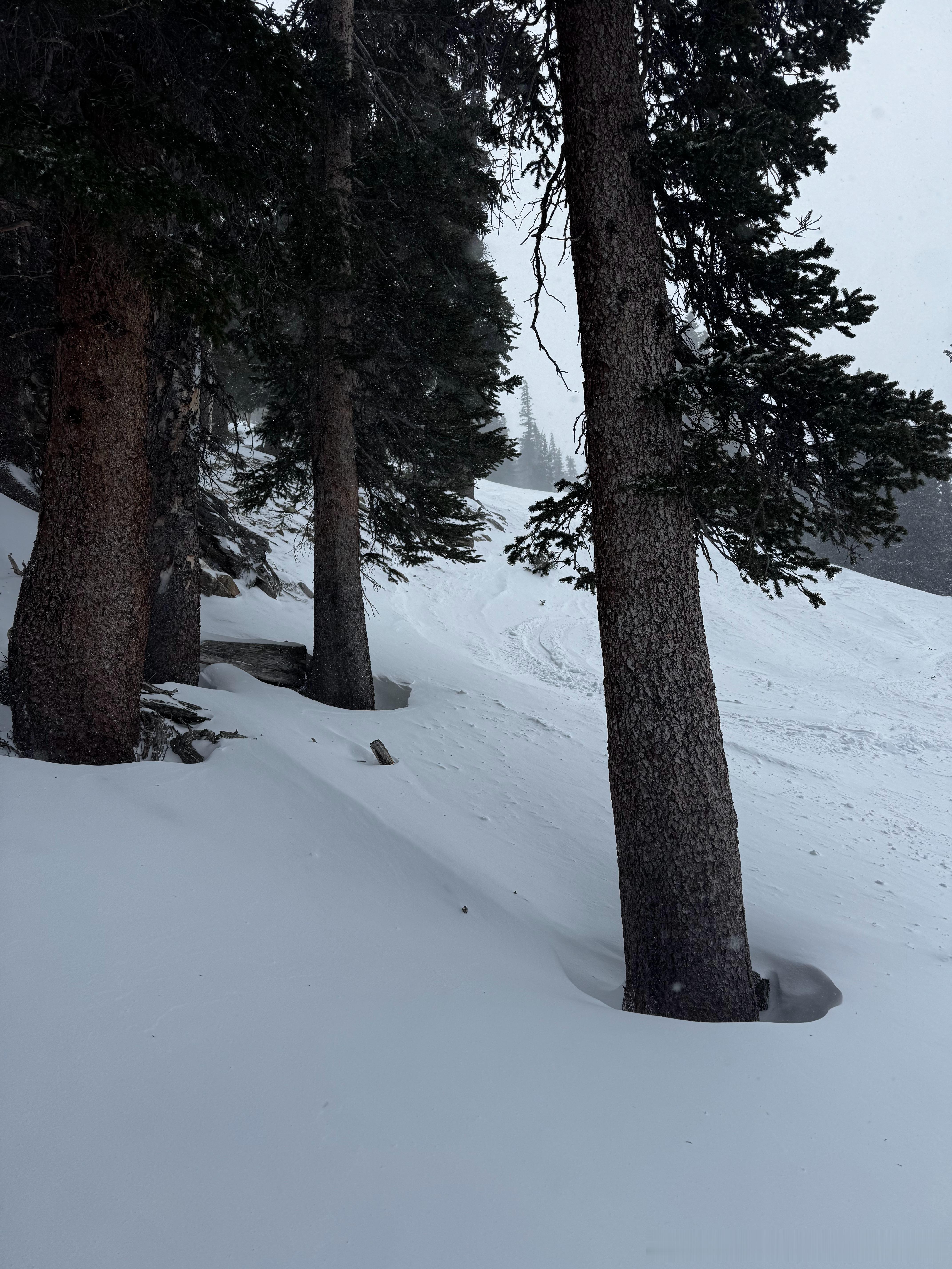 美股 一周展望：对于多头而言，上周的数据更新强化了美国经济依然稳健的观点。而对于