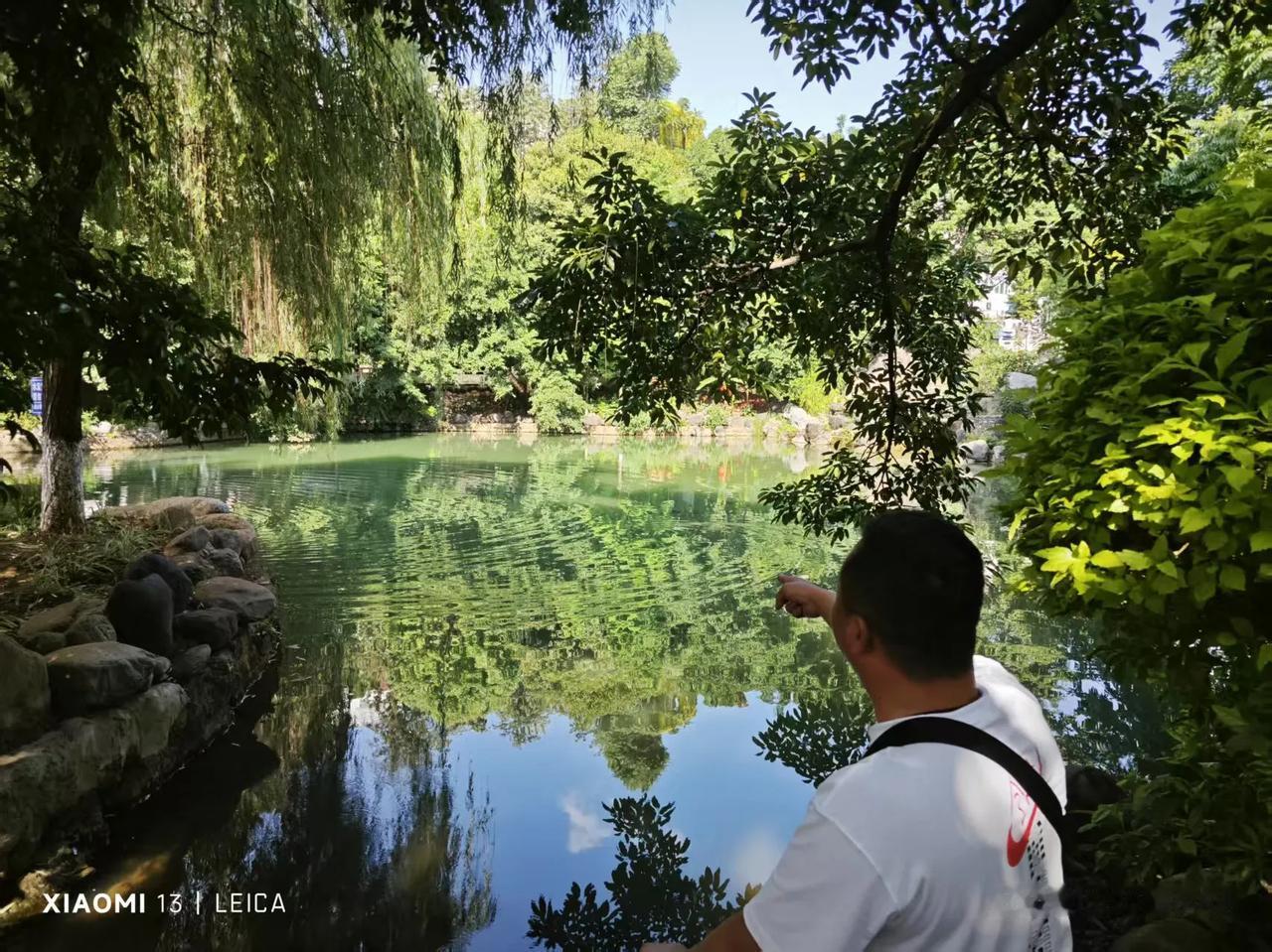 【巧家龙潭里有龙？】就算夏季气温升到34度，云南巧家县城龙谭公园里还是凉悠悠的。