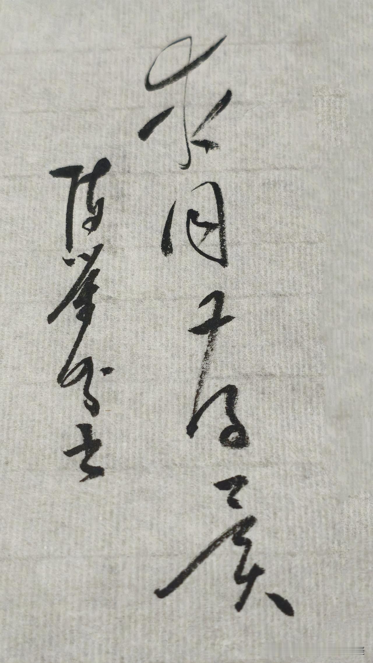 草书精品展示：求同存异