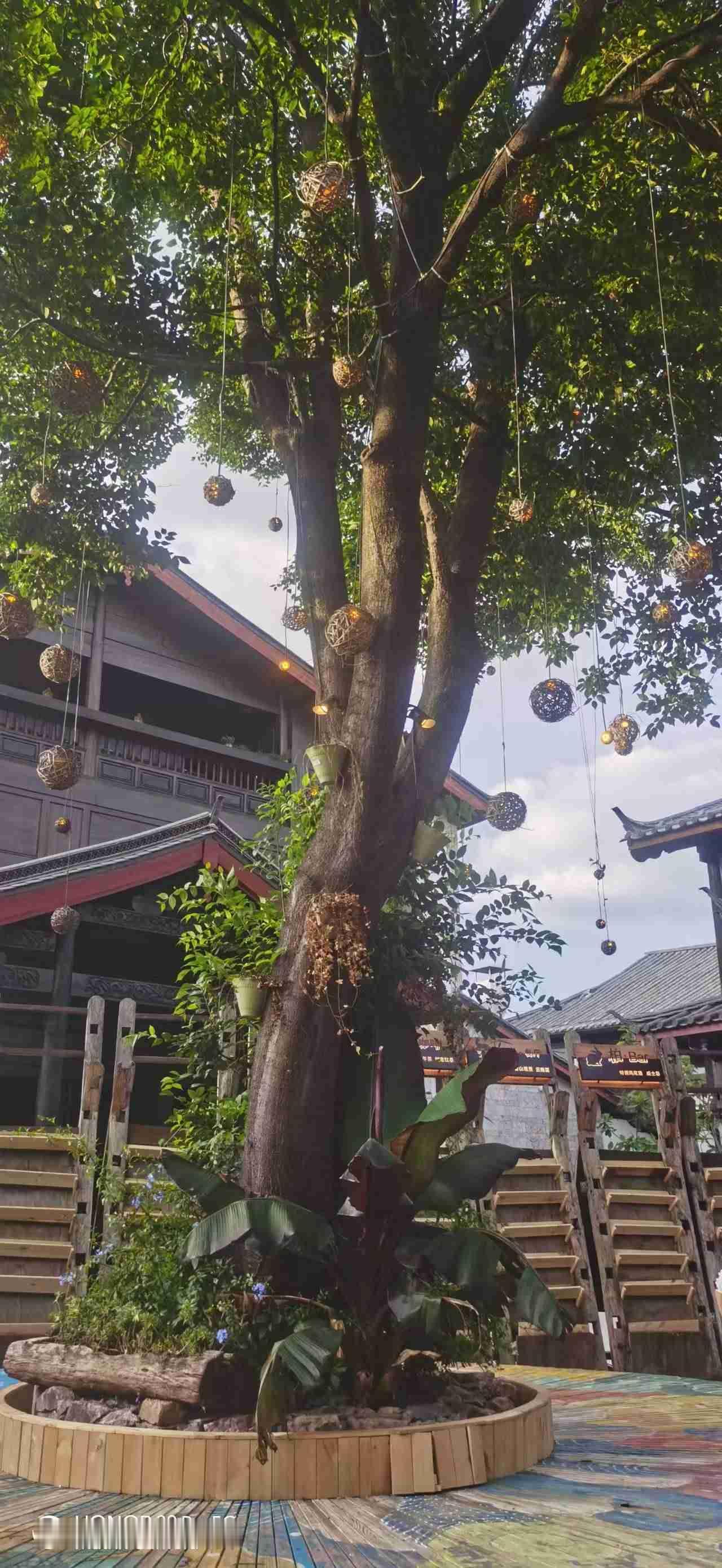 我的今日状态：🏝️旅行度假
我这里的天气：☁️阴天

有句老话说得好：“信则有