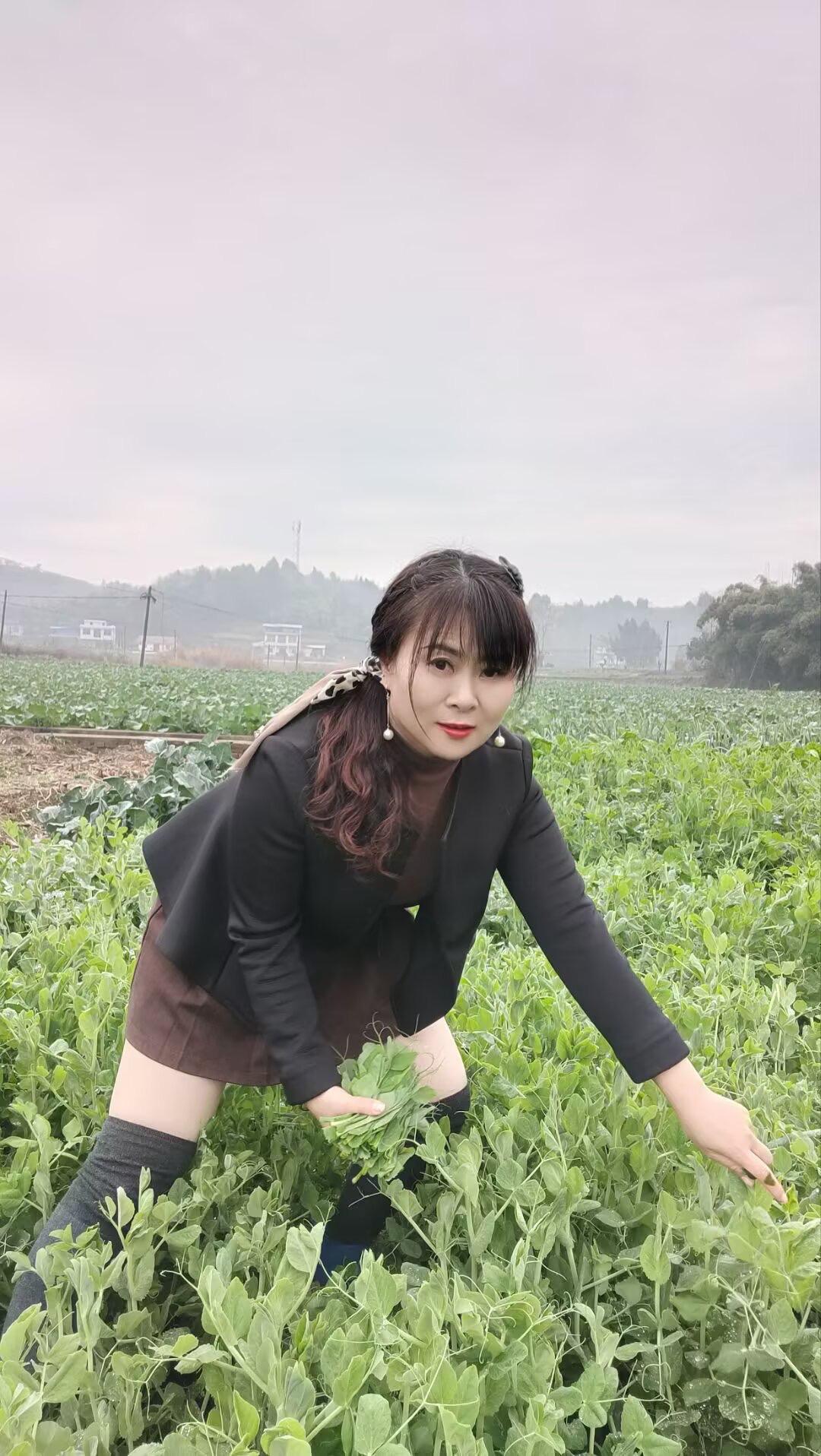 来哟 快来偷碗豆颠了哟🤫🤫