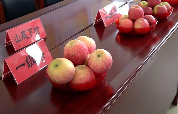 酸甜可口的苹果又来了，最便宜的仅1元1斤~