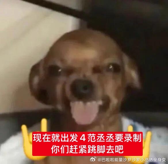 丞丞七月行程图还没出来之前出来之后😁😁让这些恨范丞丞的失望了😁😁 