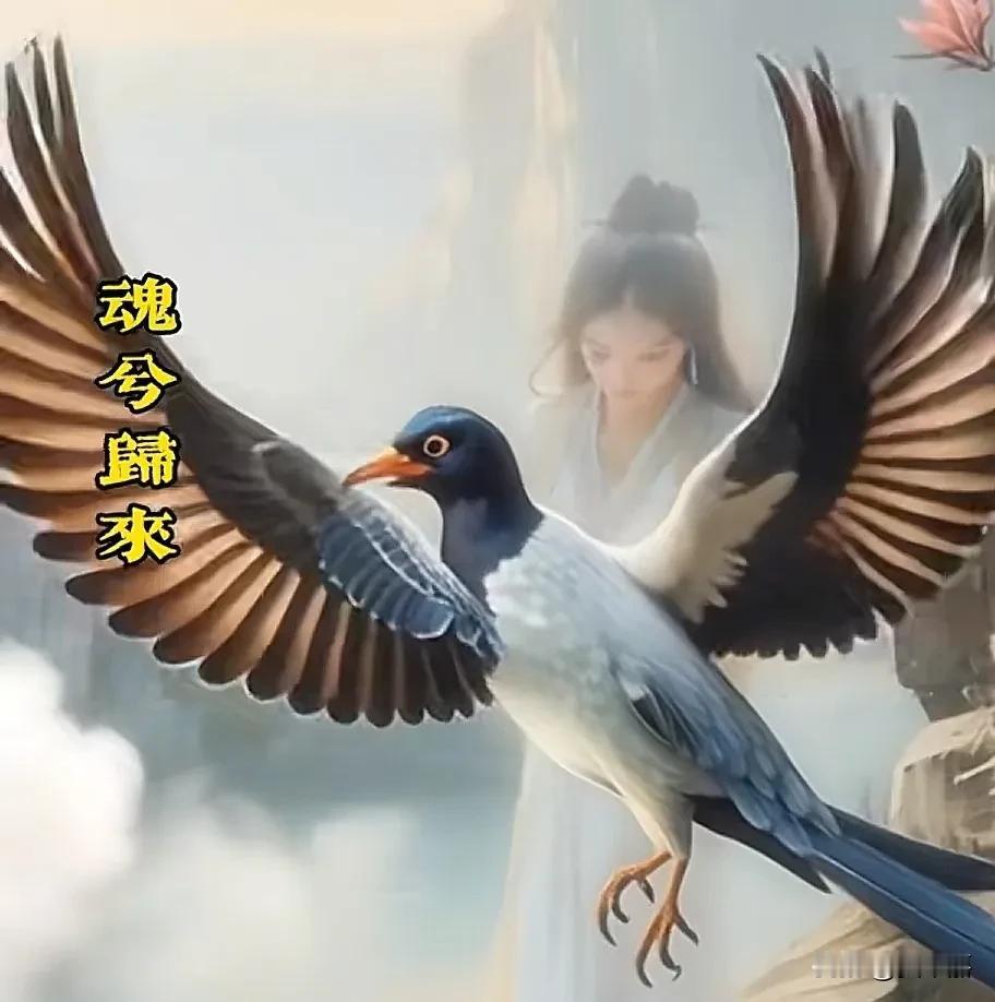 秭归鸟呈现的原地原貌，就坐落在三峡大坝旁的秭归县城。屈幺姑和我哥回的叫魂声，每年