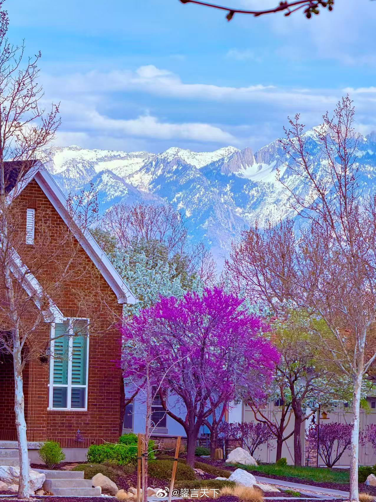 家门春色随风入，阶下花光趁日来     乖妈摄影 