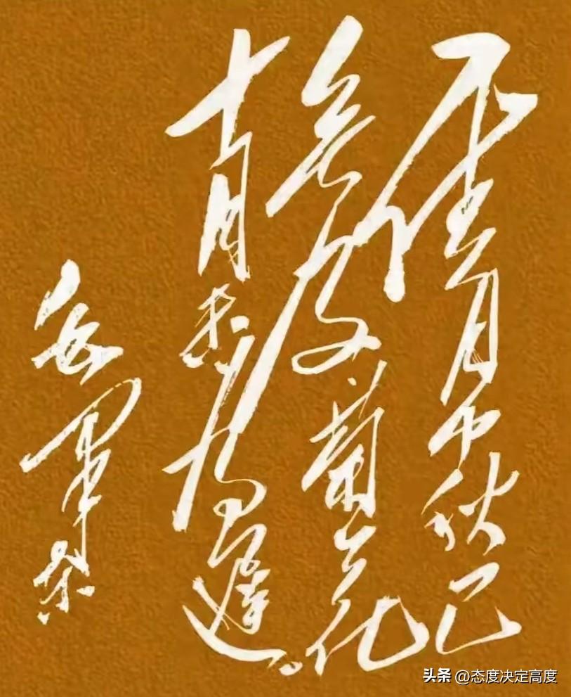 你能看懂这幅“毛体狂草书法”吗？

最近，有网友晒出一幅毛体狂草书法作品，说这字