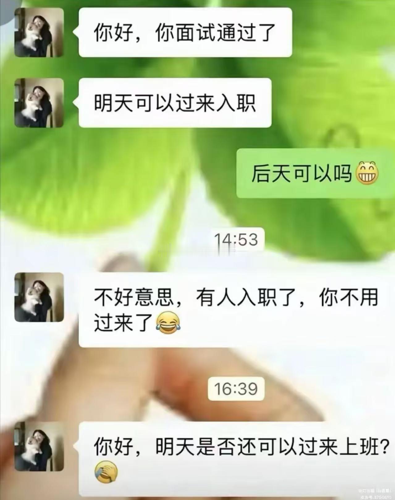 你好面试通过了 