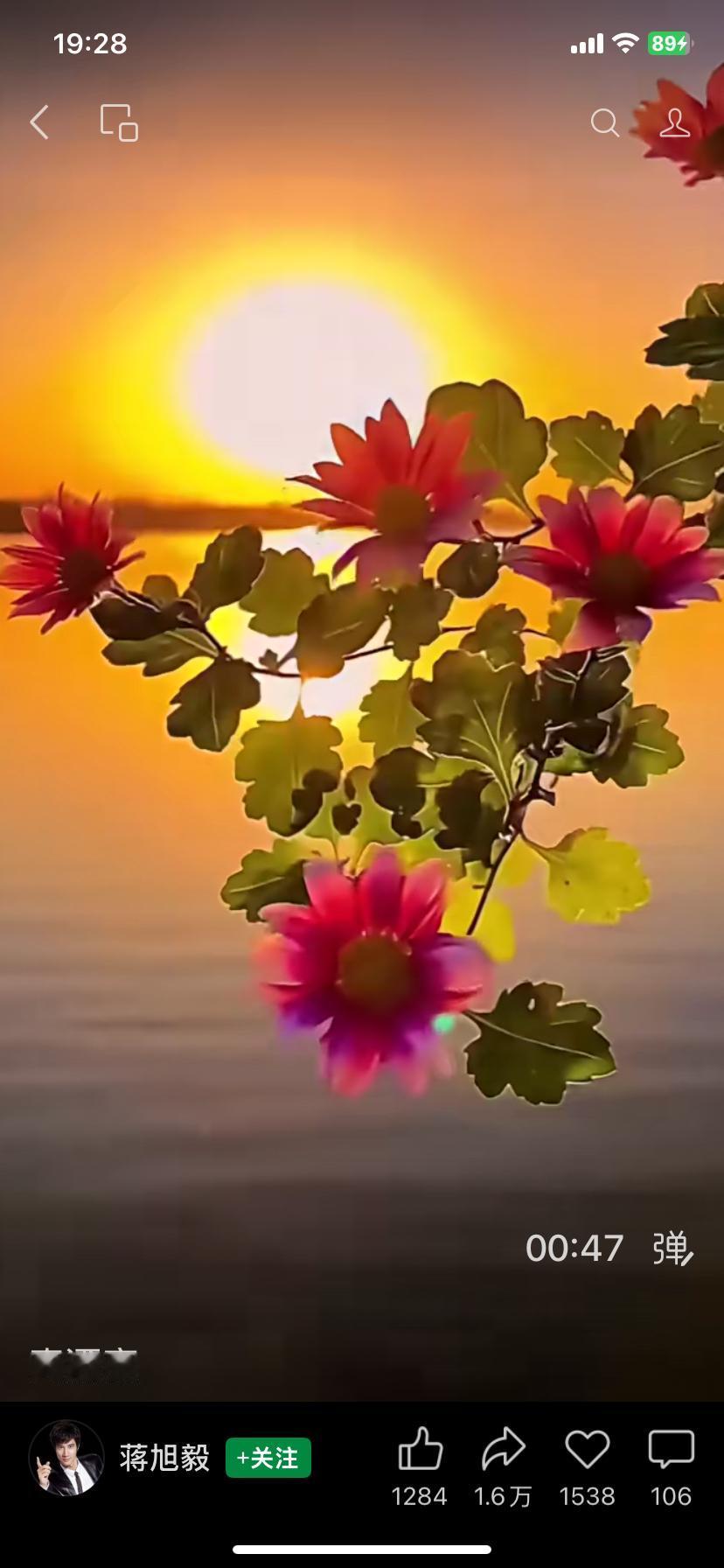 我之所以如此努力，是因心中有团炽热的火，那是对梦想的执着渴望。我渴望站在更高的舞