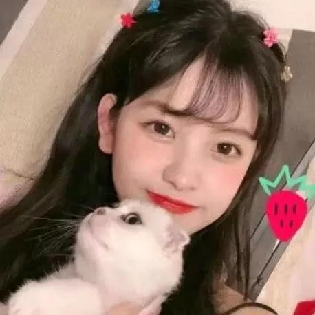 甜美少女与可爱猫咪的亲密时刻💕🐱两猫情感相处 猫合照 猫系萌照 猫系少女照 