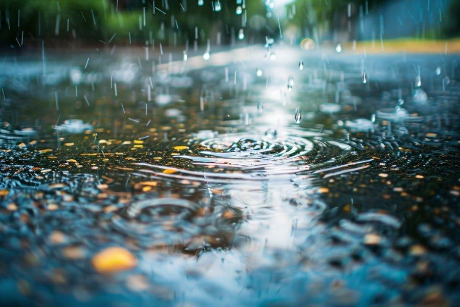 下联：骤雨荡污浊。

（图片来自网络）