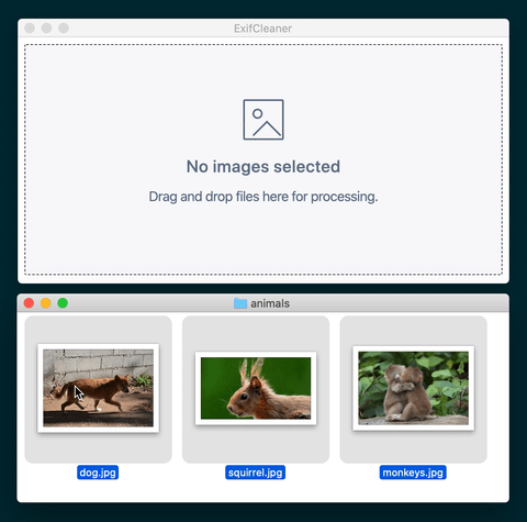 整理图片准备上传或对外分享时，很多人并不会注意文件里藏着的拍摄设备、位置等信息，