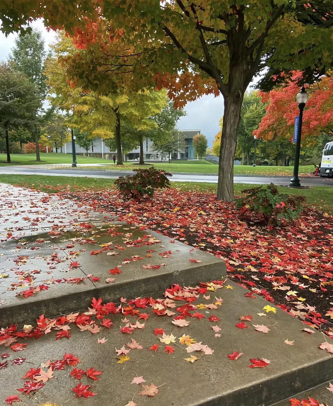 秋的味道写在风里
人生的故事写在四季里
光阴摇摇晃晃
丢失的从来不是时光
而是念