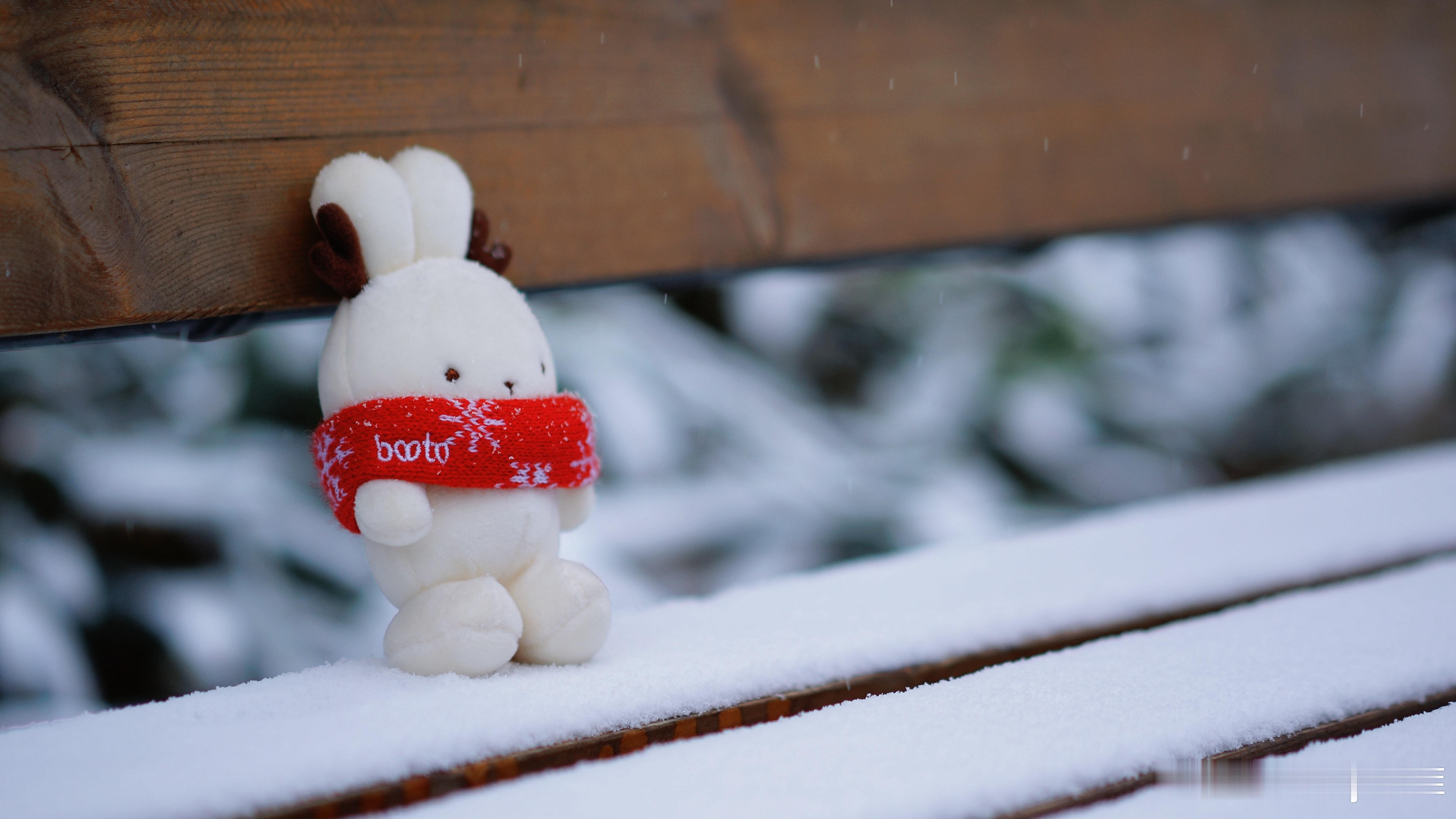 京城入冬初雪🌨️摄影/后期：北京你好