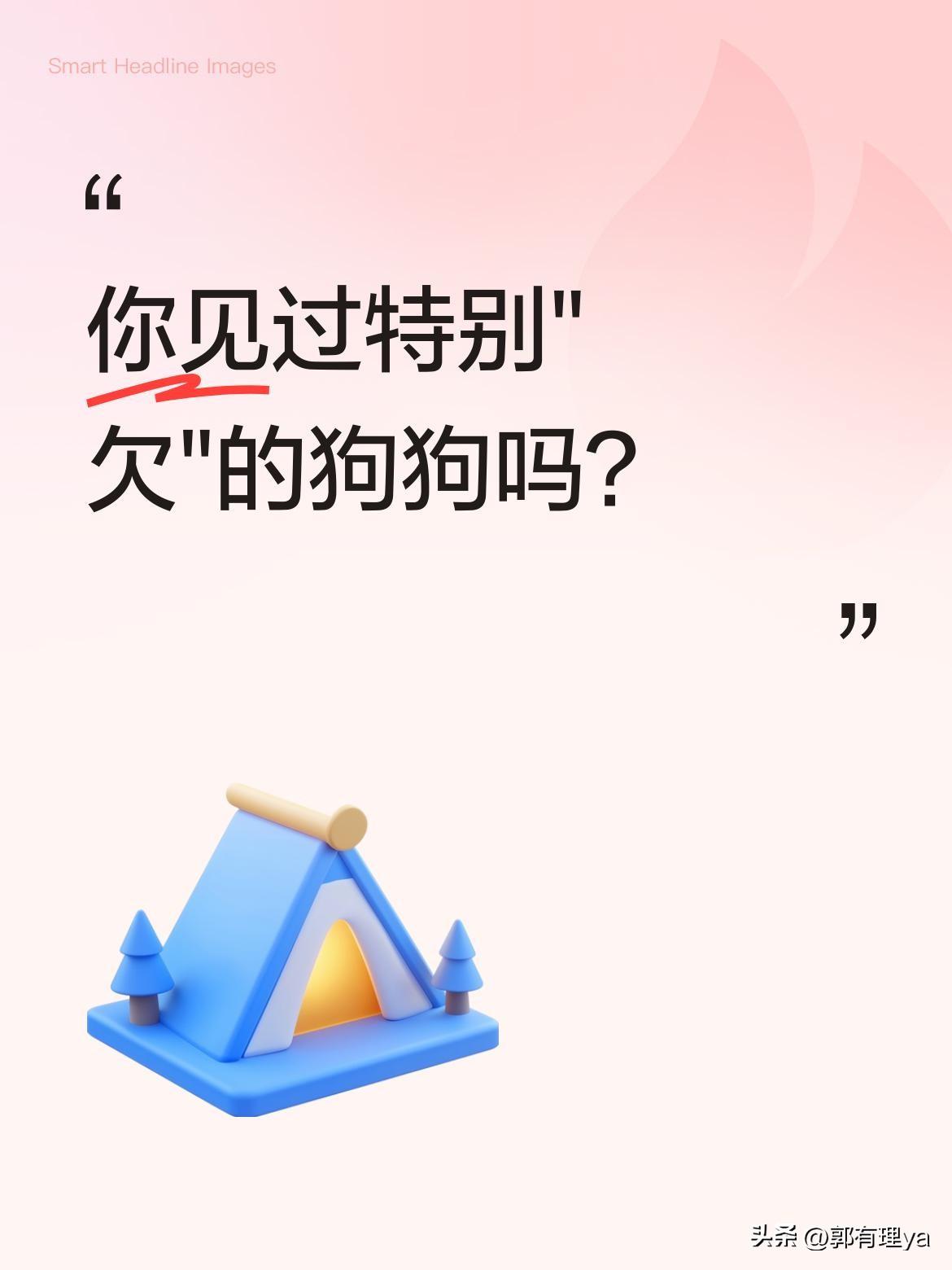 你见过特别"欠"的狗狗吗？
最近有网友分享了自家狗狗的"欠揍"日常：趁主人不注意