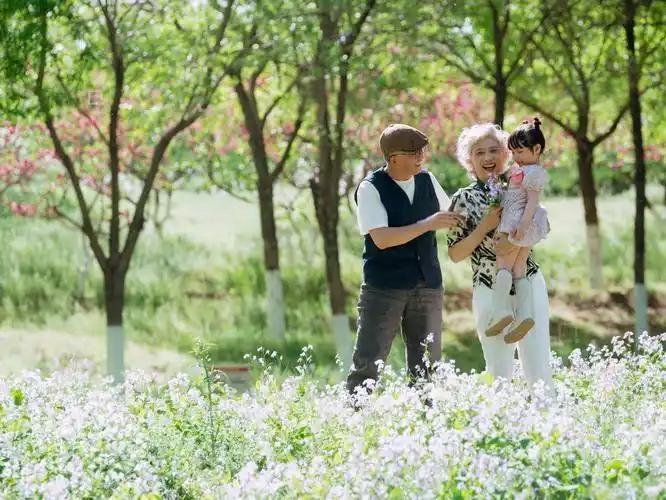 上联：忆往昔青梅竹马，
下联：看今朝含饴弄孙。