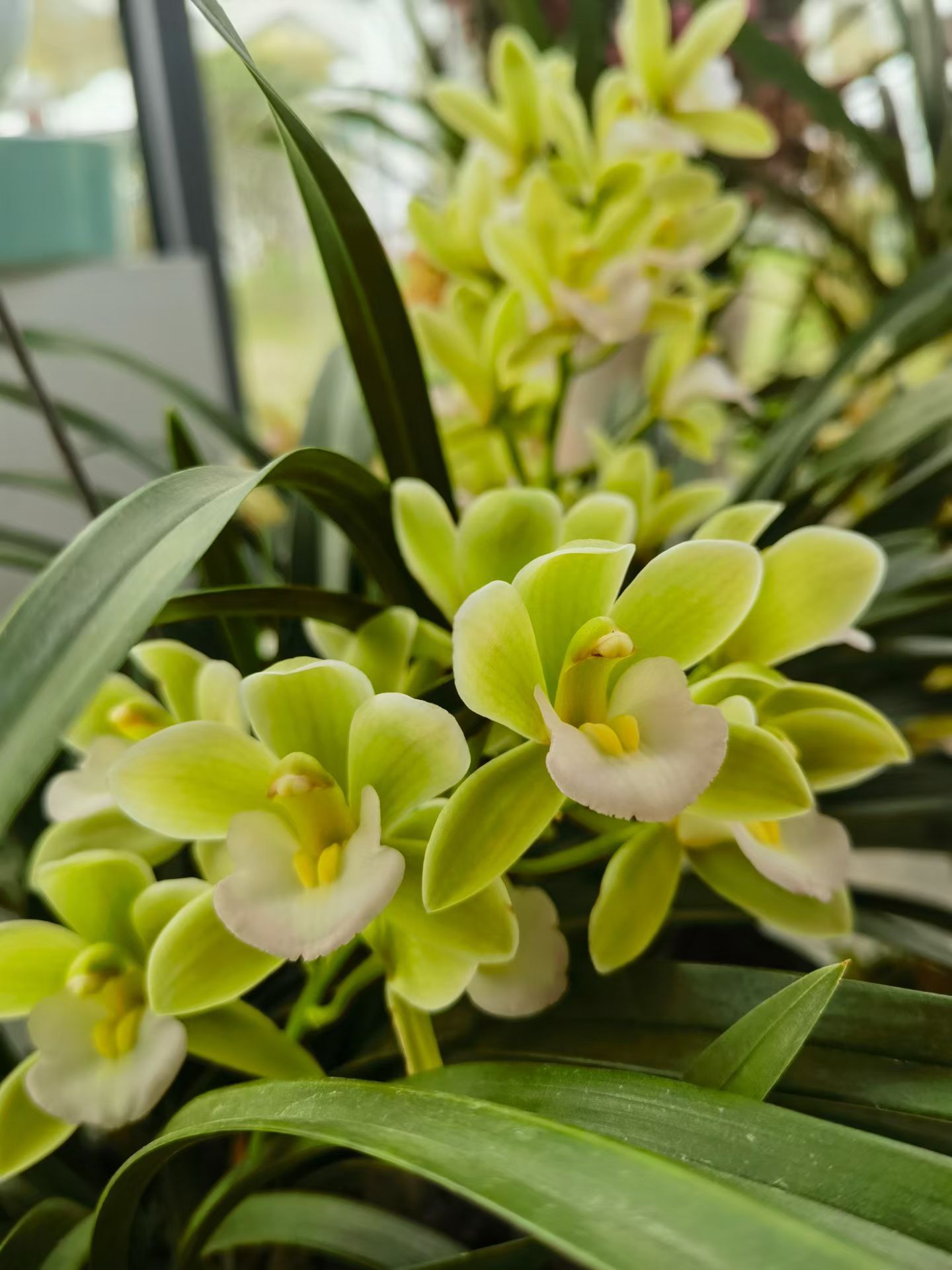 对未来不要太焦虑，你在成长，你自然会有向上生长力量的加持，遇山开路，遇水架桥。 