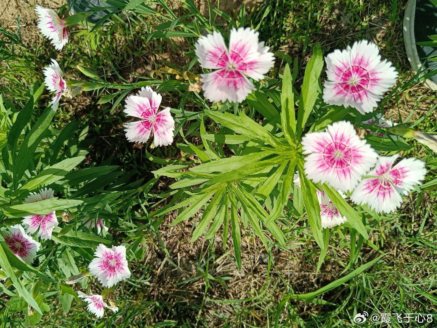 手机摄影 绮丽天地辽阔世界，努力前行与美好长伴惬意相随 