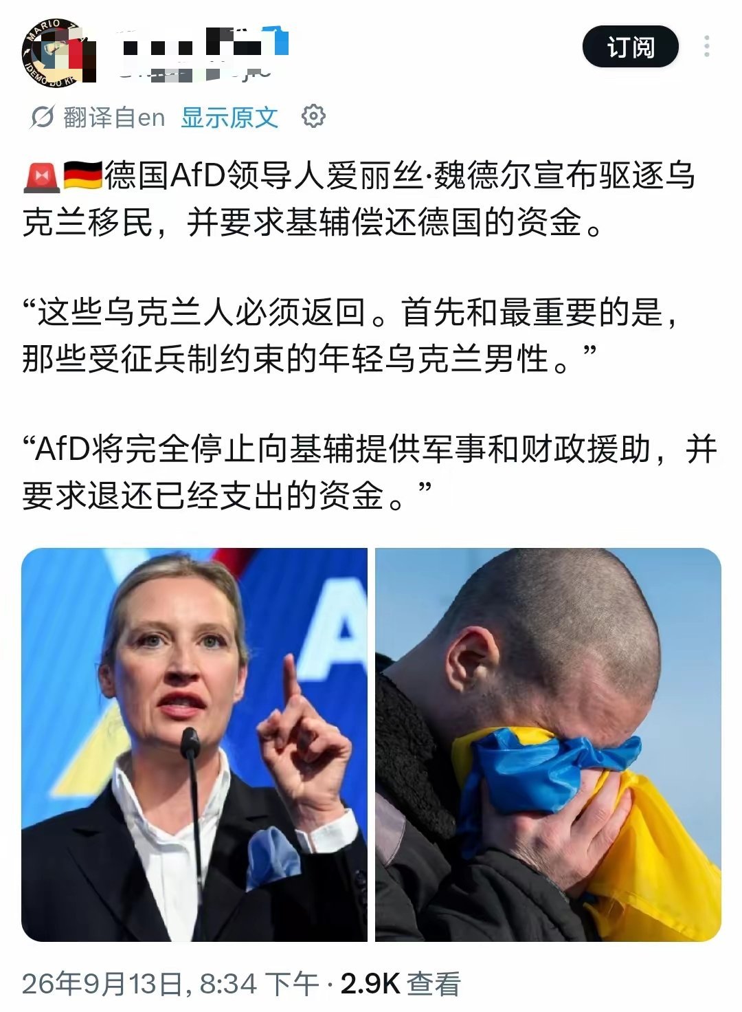 德国选择党afd领导人魏德尔接受媒体采访时表示，在德领取津贴的100多万乌克兰人