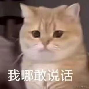 其实那个小号真没什么黑料内容，最多无非延伸到鹅跟雨凝谈过，只不过是鹅毛接受不了雨