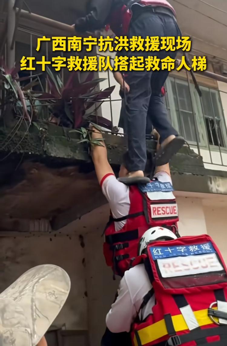广西水灾中最感人的故事是什么是红十字救援队搭救命人梯这一幕，看一次泪水眼眶打转一