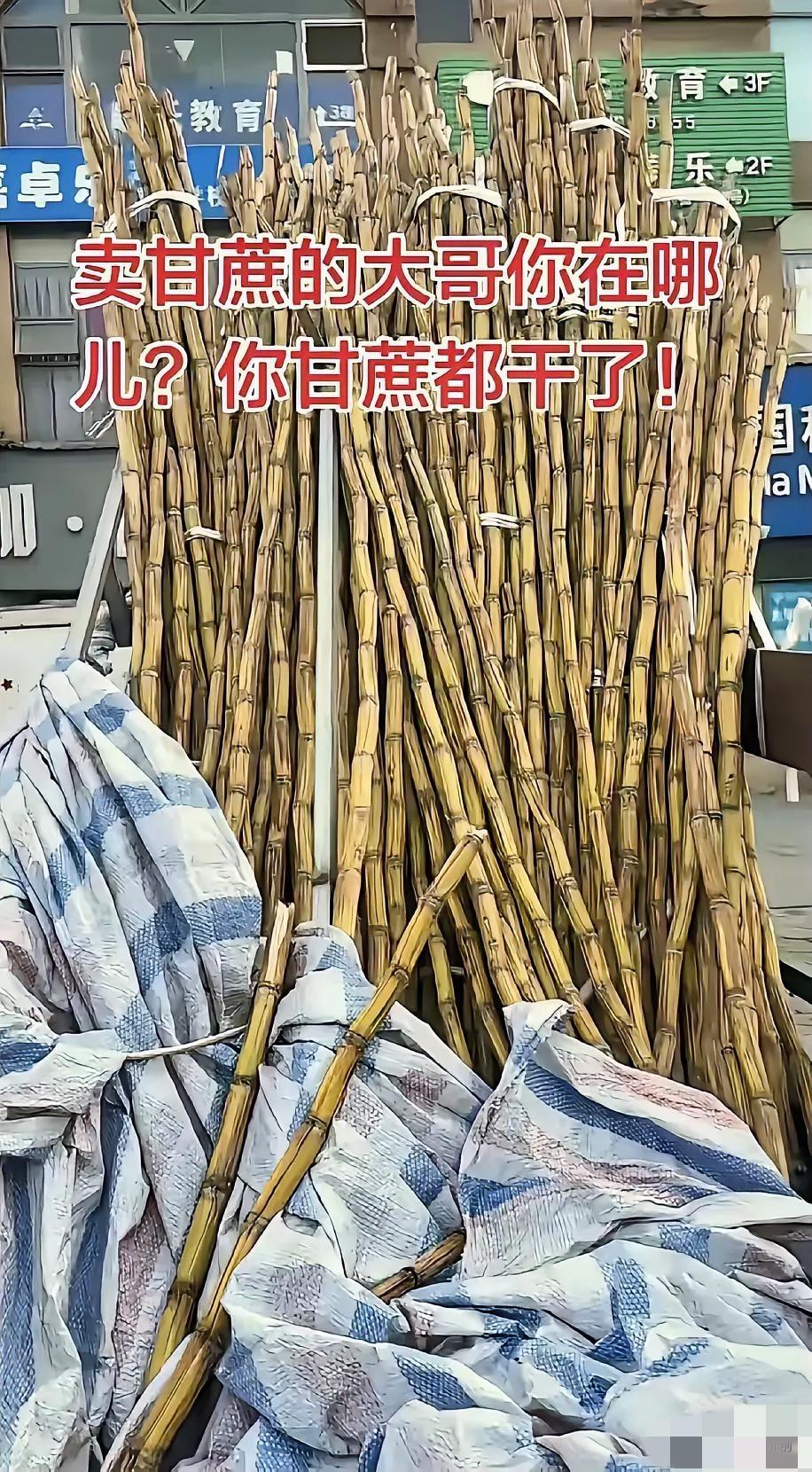 太暖心了，四川，一男子发现楼下常年摆摊卖甘蔗的大哥从过年之后就没出摊了，路边三轮