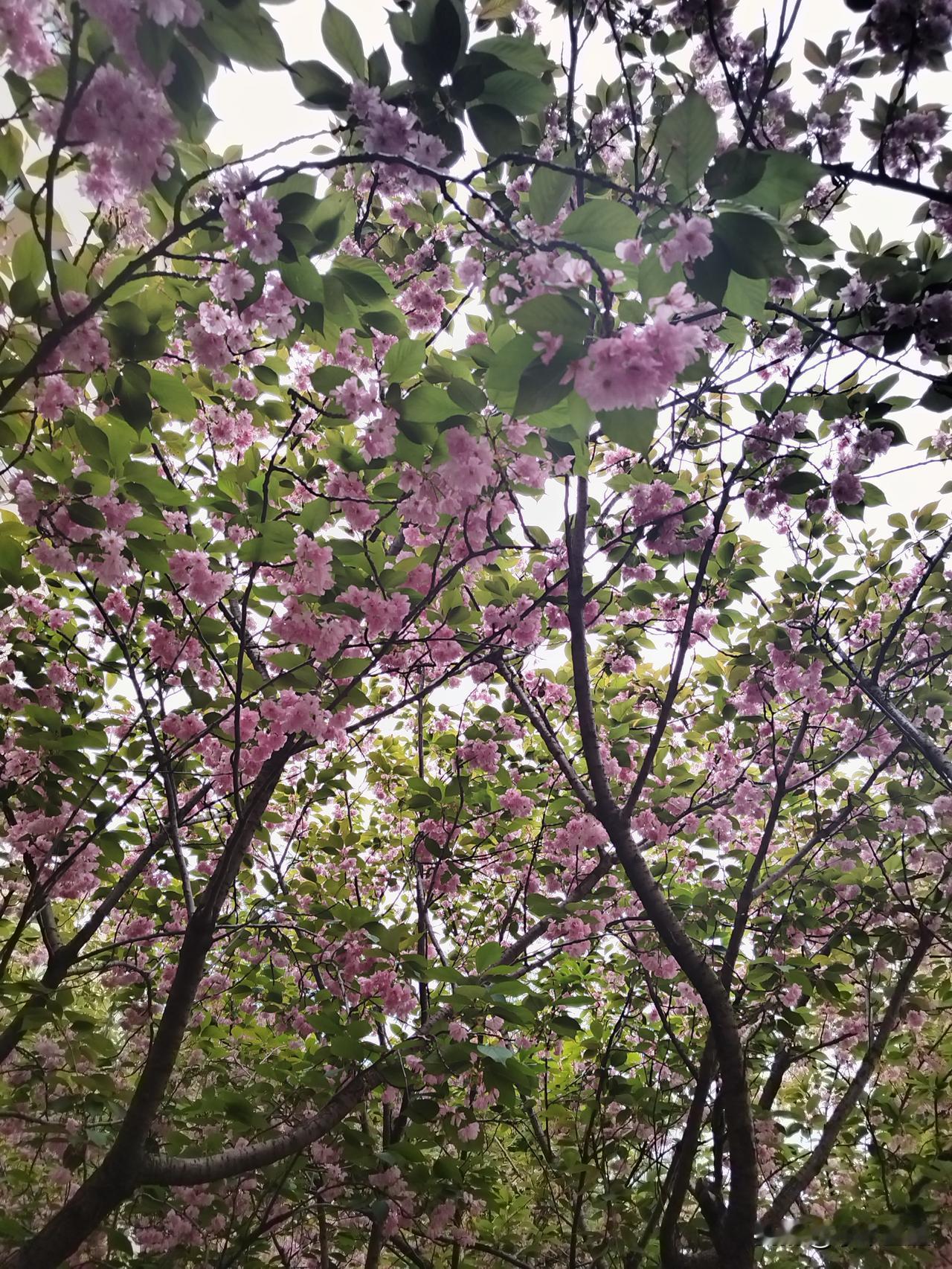 藏于身侧的四种温柔，读懂身体里的幸福私语
 
人心的悲欢起落，从不是无端而生，身