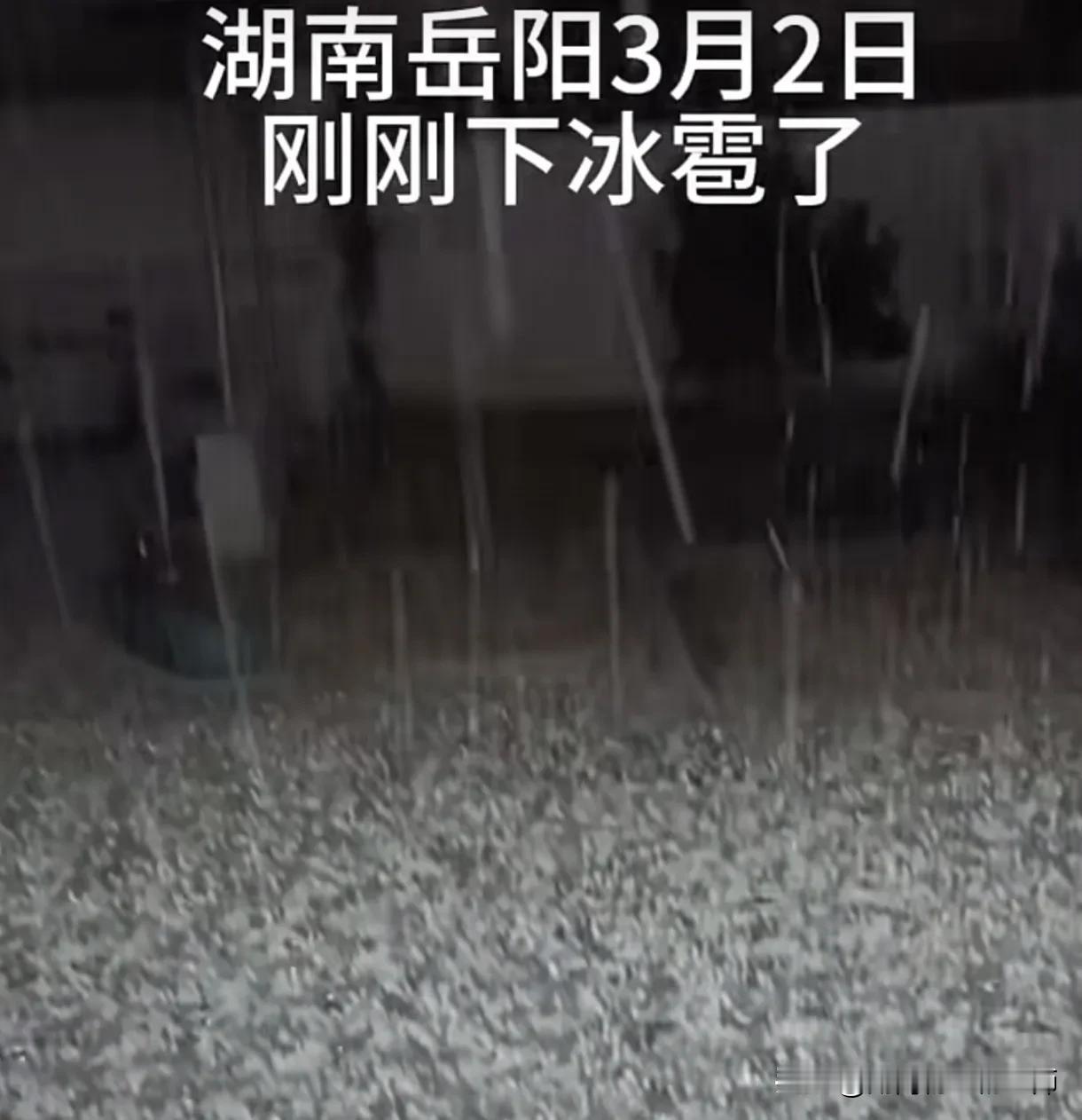 岳阳冰雹夜
   3月2日晚，岳阳市的夜空被一场突如其来的冰雹打破了宁静。
  