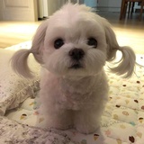喜贵热看影视剧
