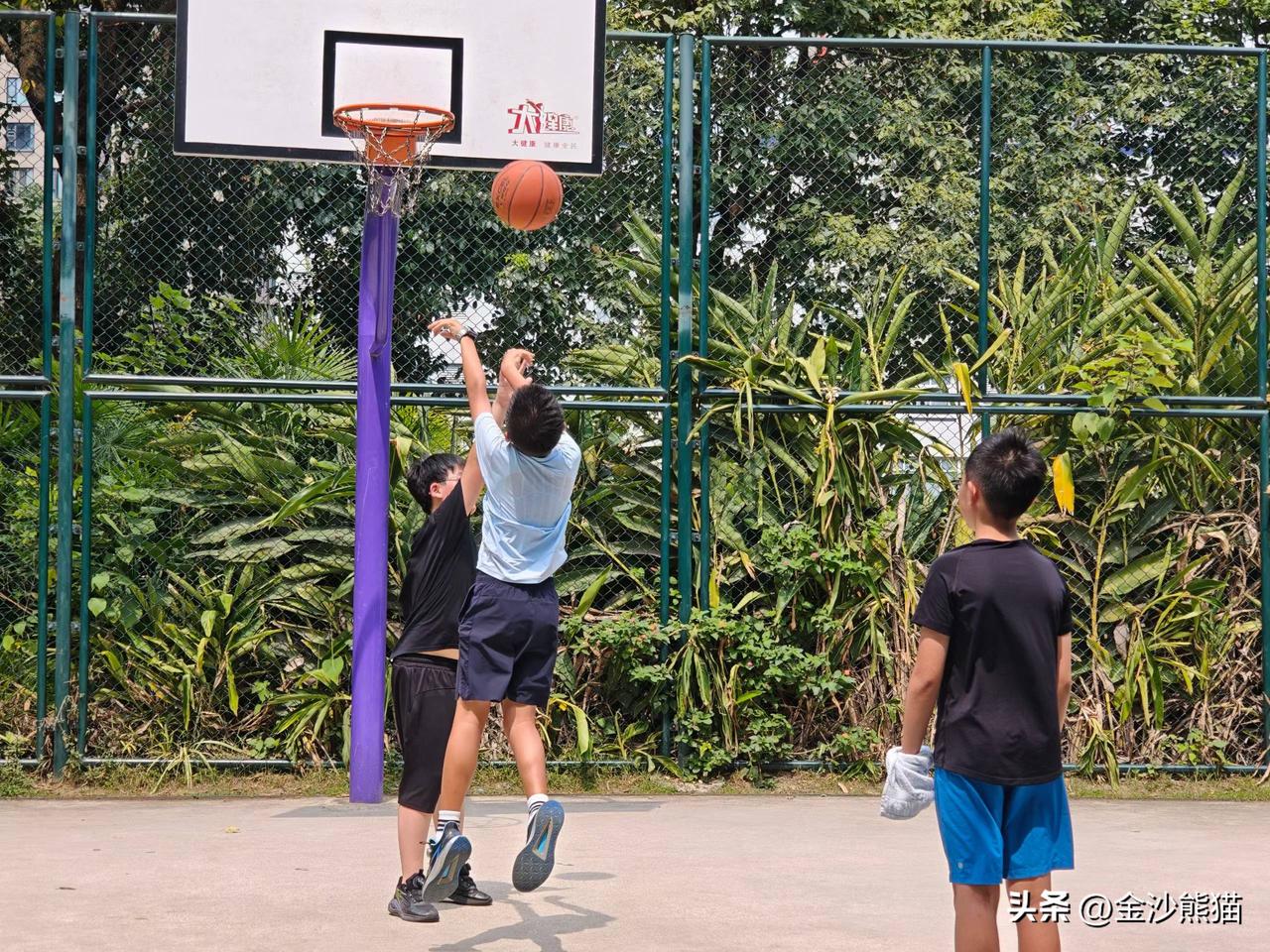 暑假带娃（人娃+狗娃）生活
上午篮球走起🏀，下午奥数学起，晚上游泳，半夜看球[