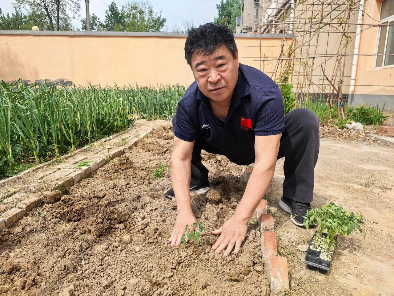 放下兵器，闲来种点菜。春种一粒粟，秋后万担粮。绿色小院又开启了春天的播种，勤劳的