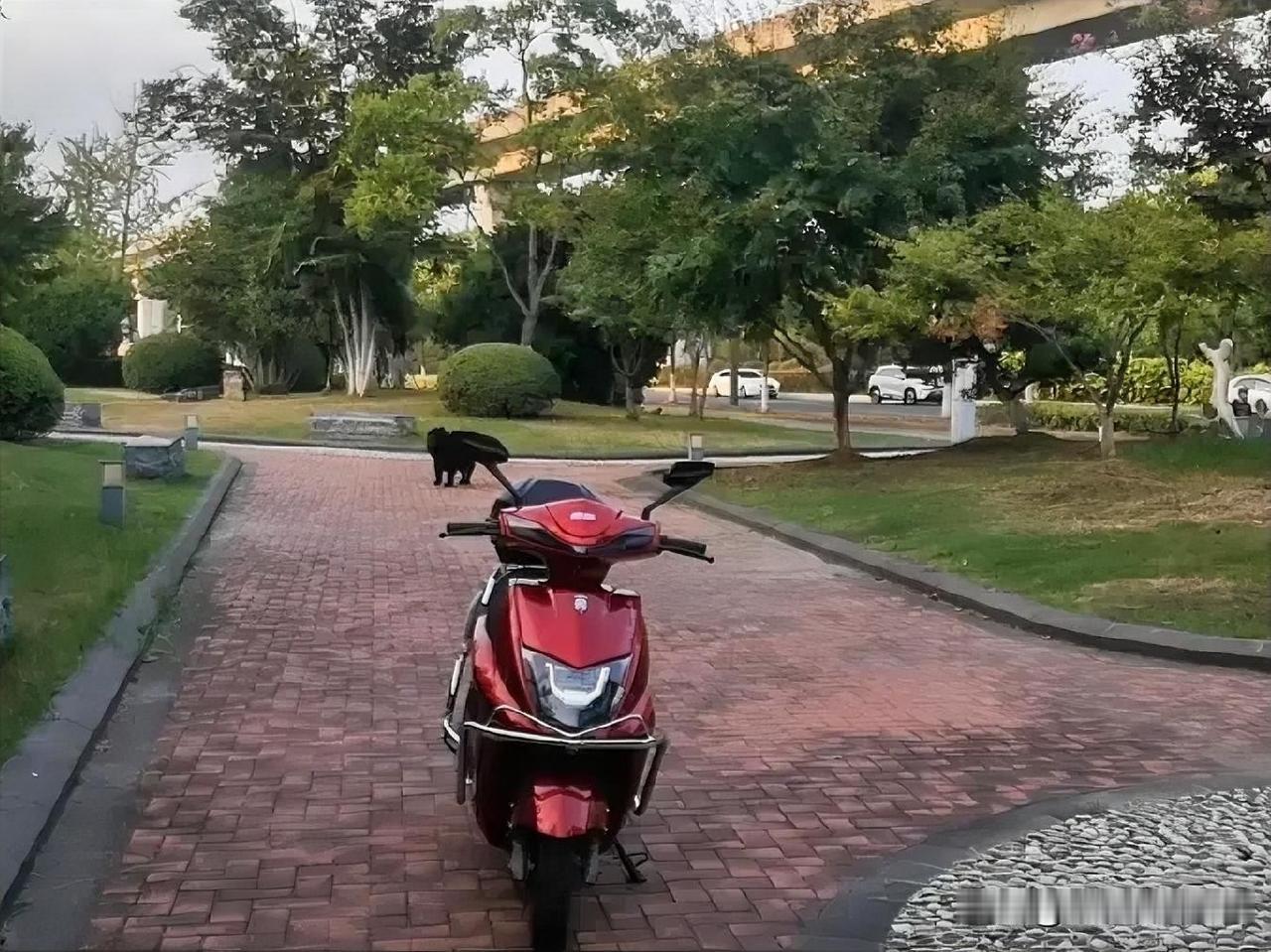 新国标保安全，必须支持。社区里充电桩也挺多的，足够满足居民需求，把充电器顺手塞到