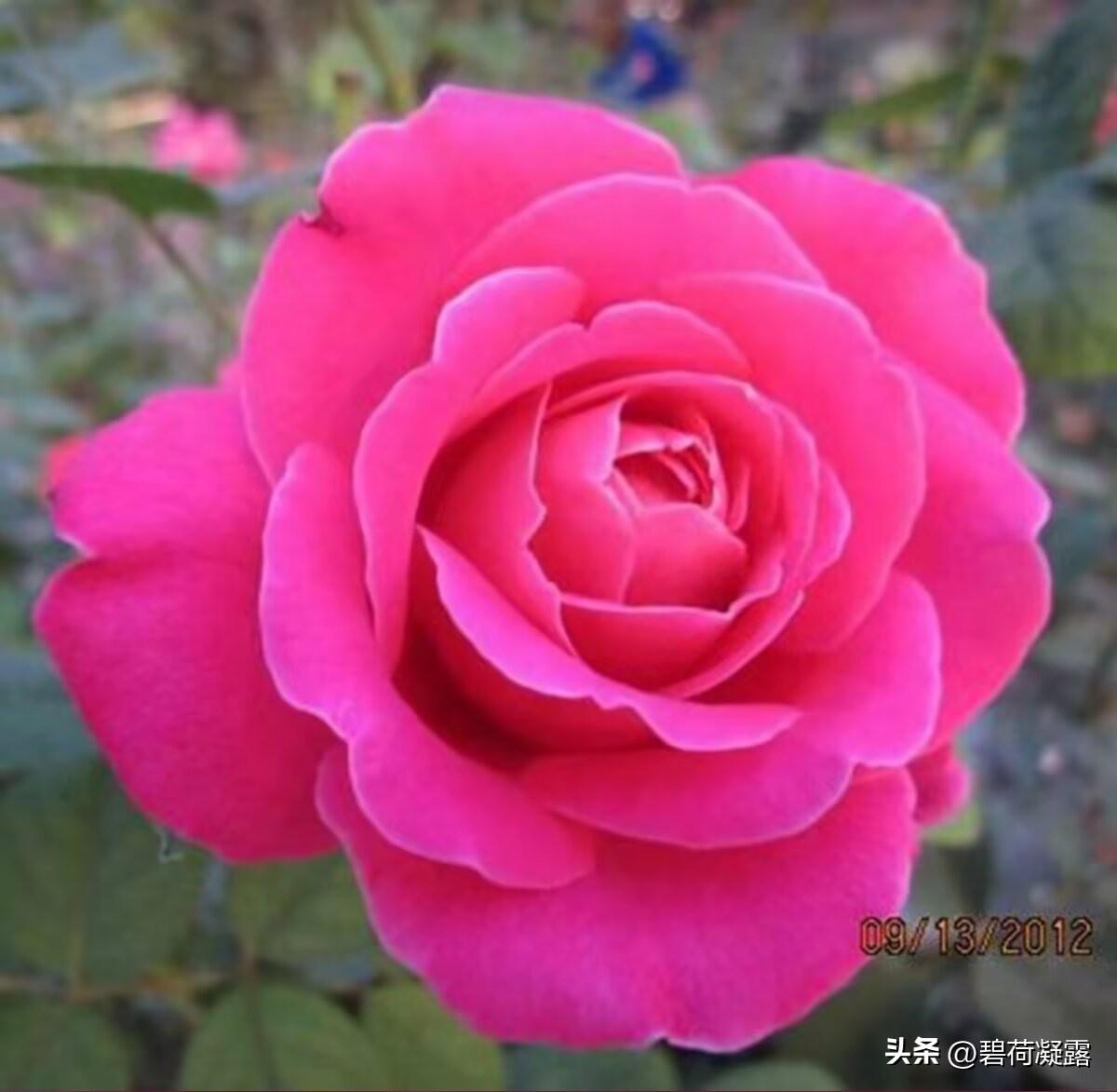 心静则万事清，心宽则路路通，少些计较，多些宽容， 生活自会温柔待你。 

看淡得