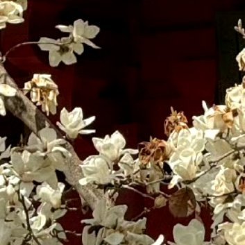 每日一善‎每日一善 ‎阳光‎信用  善良是一种美德，善良是一种远见，善良是一种自