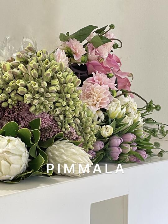 PIMMALA｜喂！听得见吗