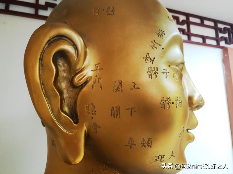 提升阳气的最好穴位是什么