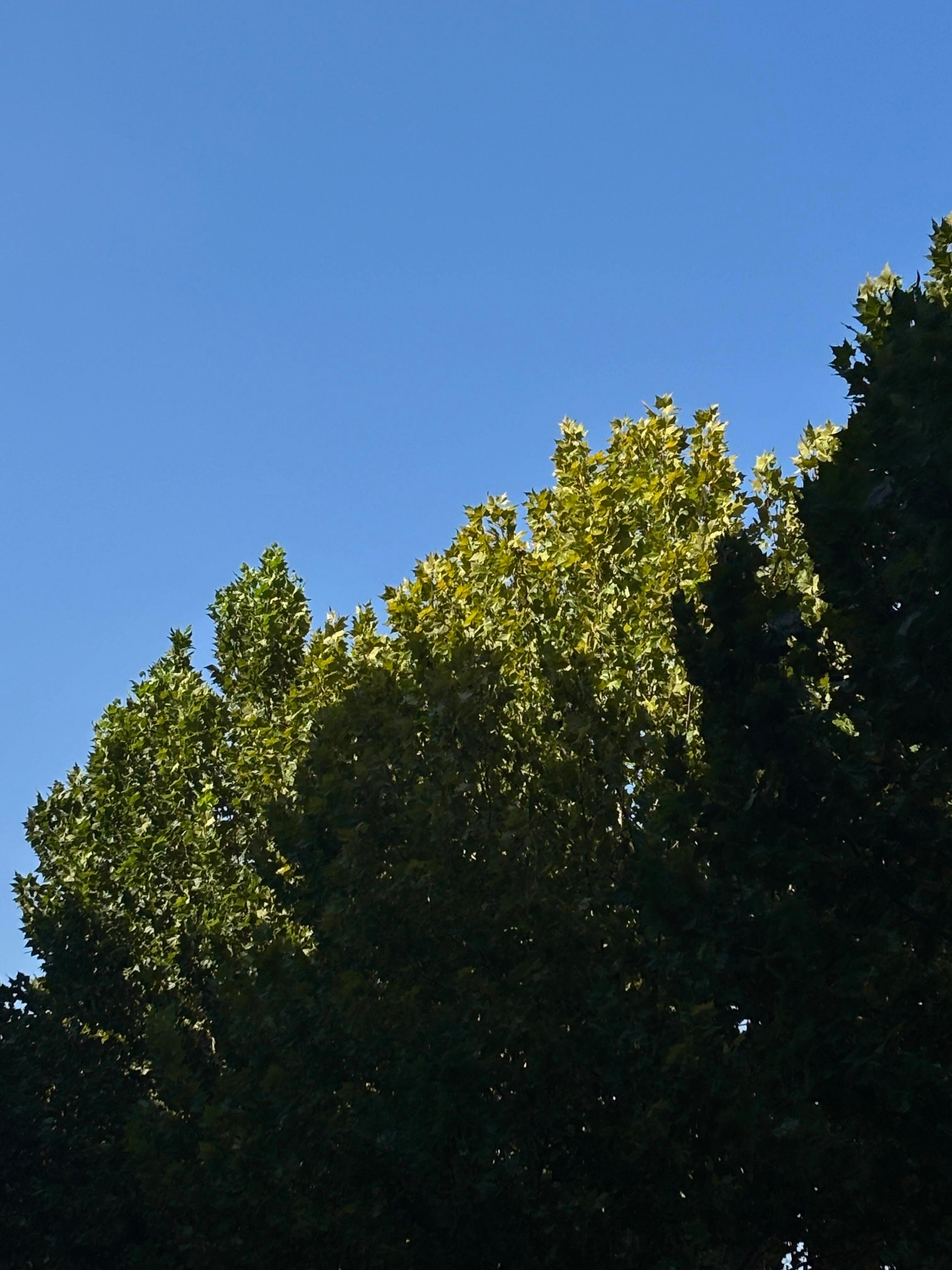 如果可以 幸福放慢倍速Z☡zᶻ.🐈⬛ 