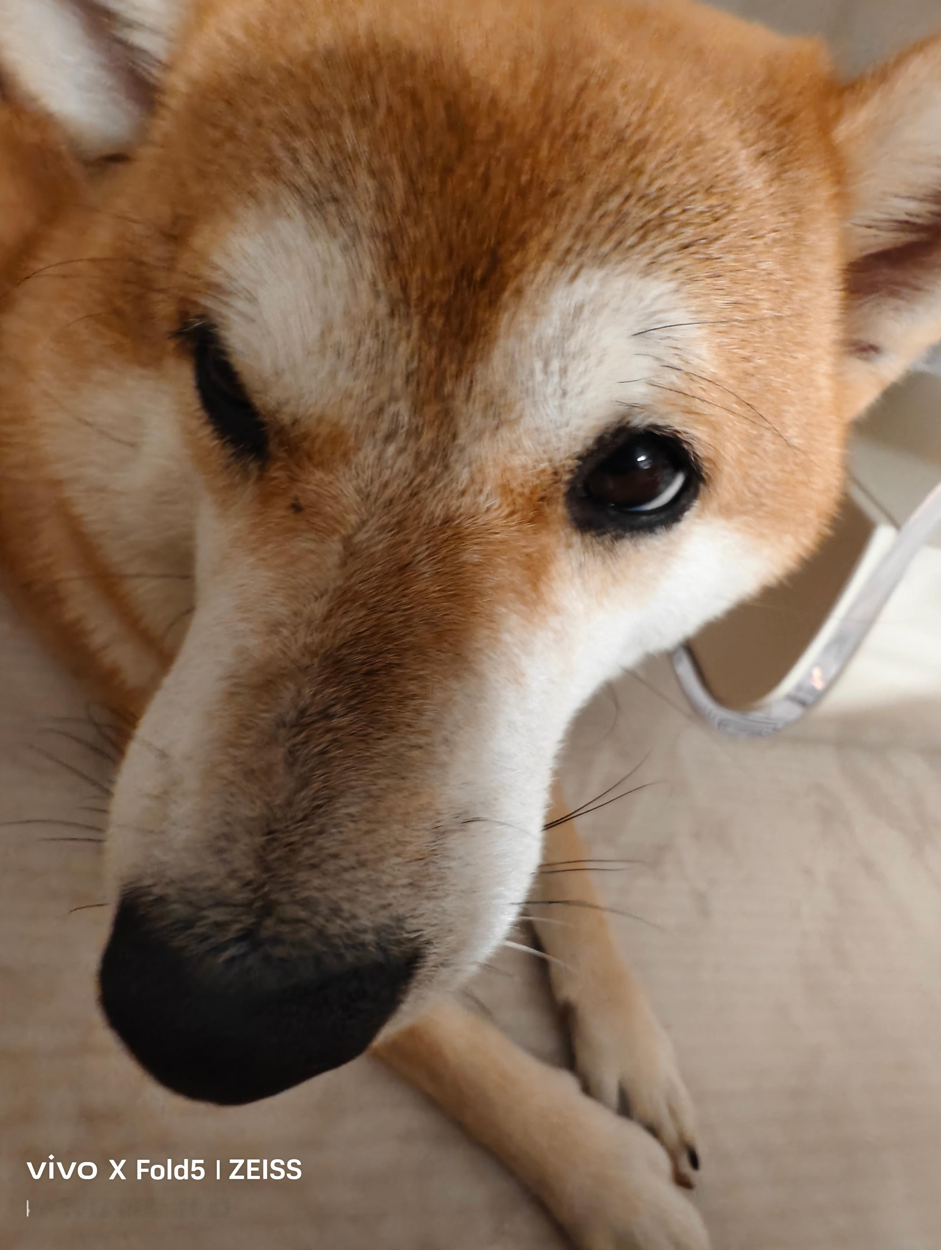 燃尽了 ​​​