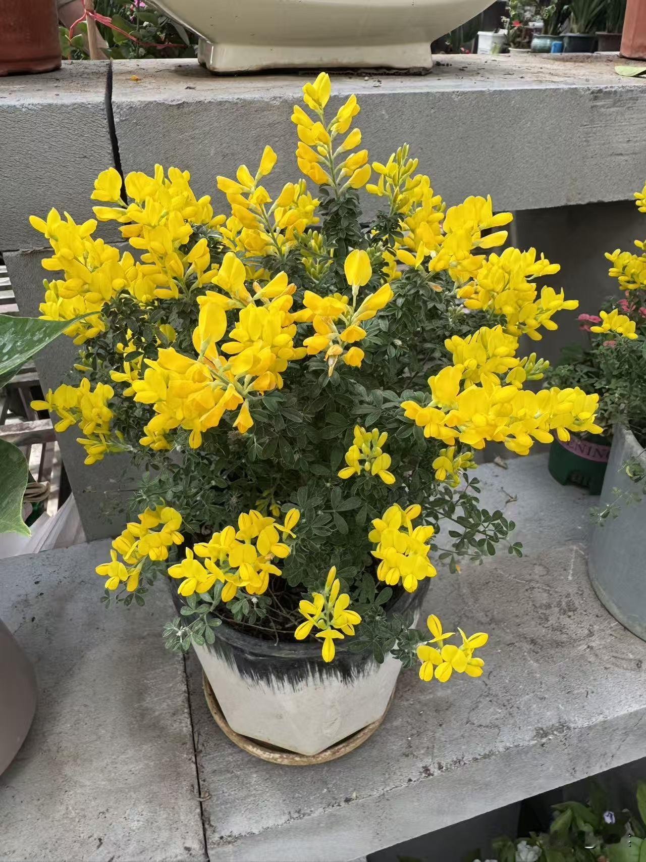 生命是成长，是从懵懂到通透，在经历中学会包容，在伤痛里变得坚强；也是付出，是对家