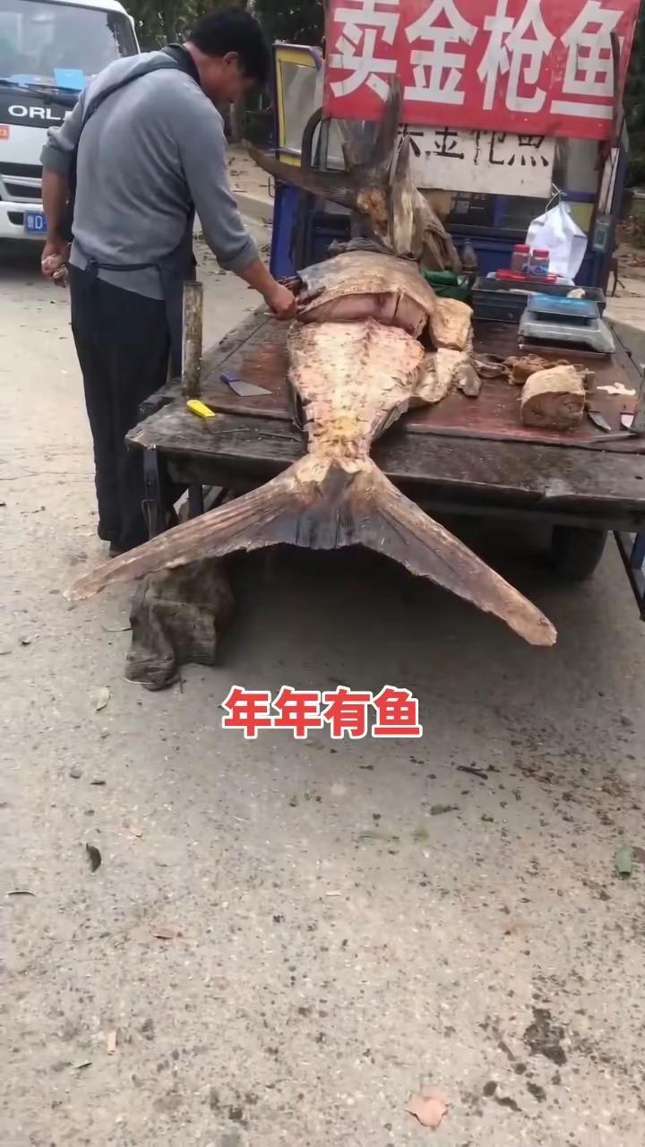 年年有鱼