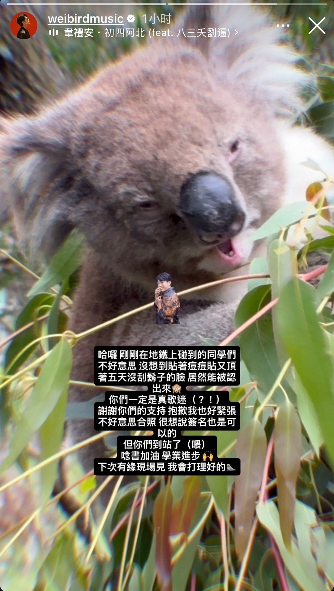 韦礼安这一只好鸟 