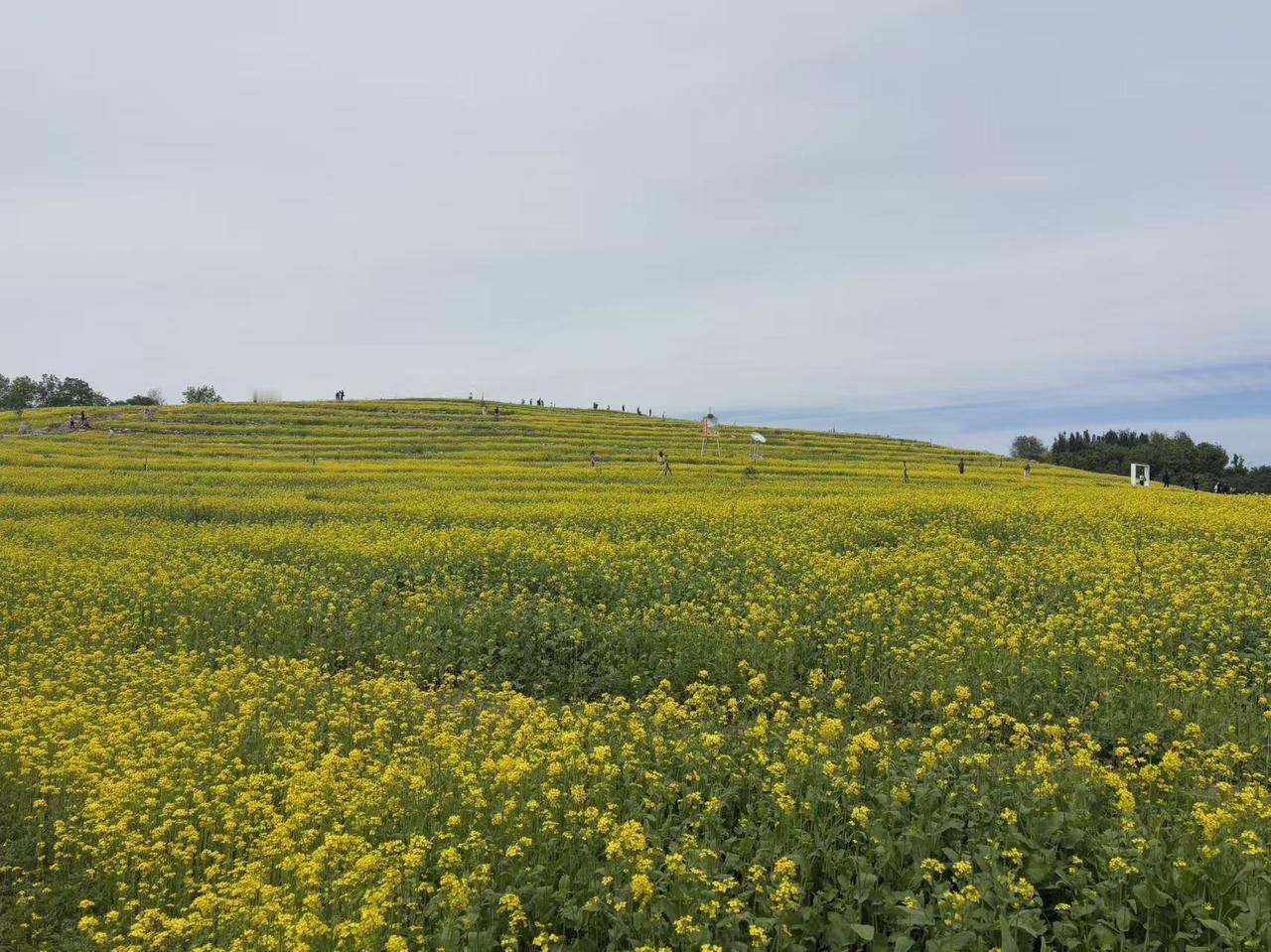 风水轮流转，谁都有低谷期，也有辉煌的时候，这就是生活