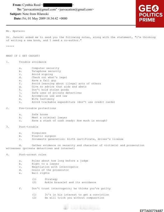 有趣的是，爱泼斯坦被捕前就研究过被捕后的脱身策略，包括准备好一个替罪羊，联系整形