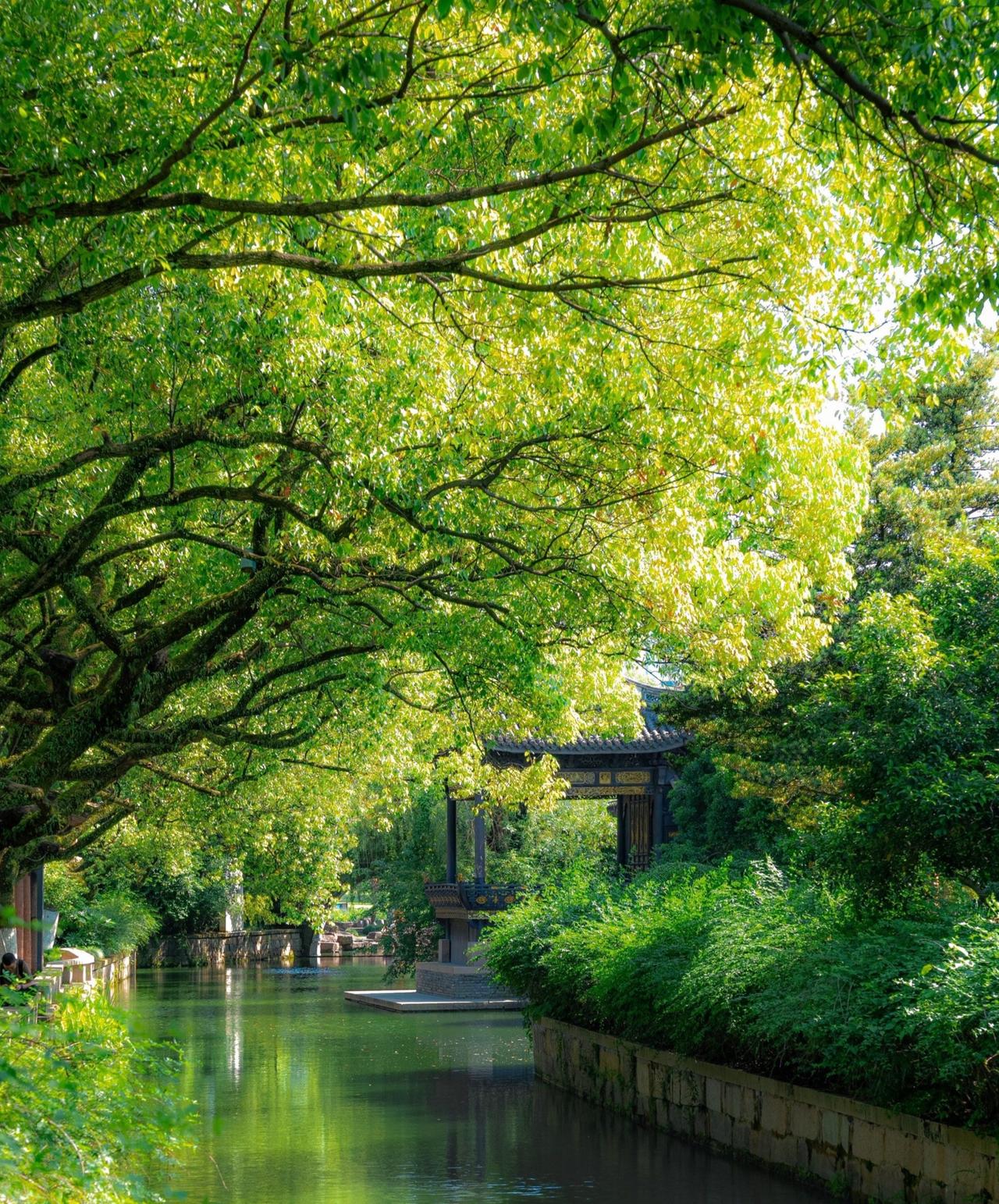 观景：
绿树掩映中，
碧水涟漪漾。
古桥映水面，
倒影泛轻浪。
