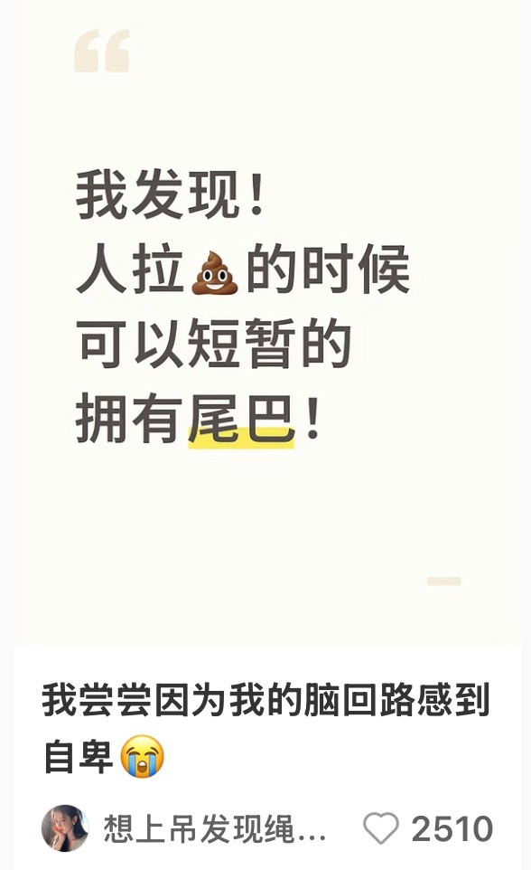 你就继续吧