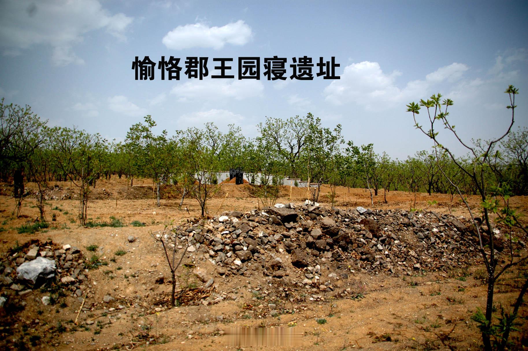 愉郡王允禑是康熙帝的皇十五子。生于康熙三十二年（1693年）十一月二十八日子时，