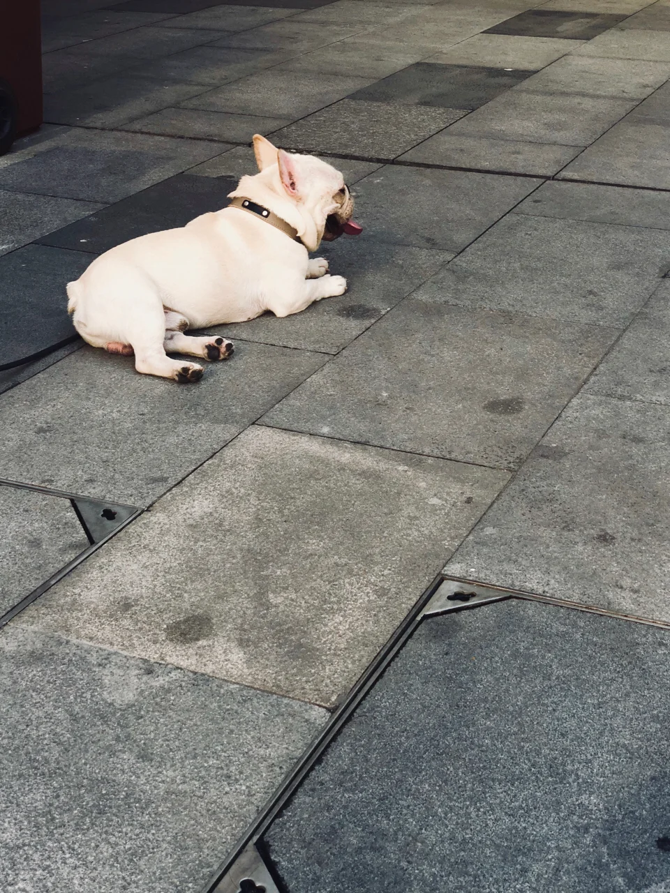 周末 做啥？ 平静的过一天吧 亲～