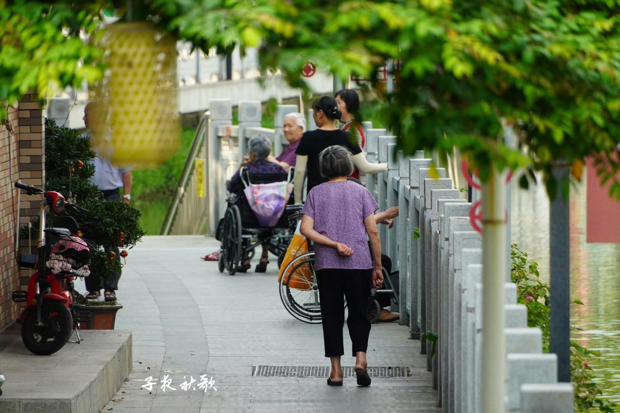 外国游客称中国简直是天堂外国游客盛赞中国宛如天堂，有趣的是，即便不认识汉字，也丝