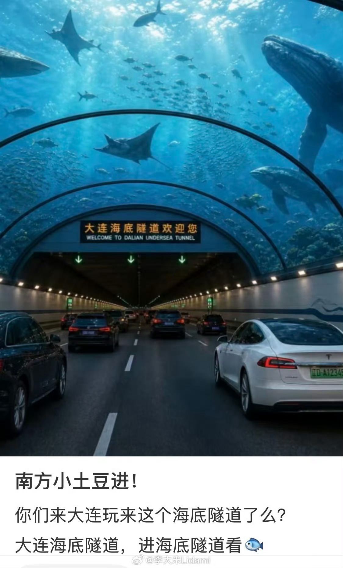 小红书旅游帖 诈骗 哈哈哈哈哈哈 用上AI之后小红书旅游贴 骗人越来越多了